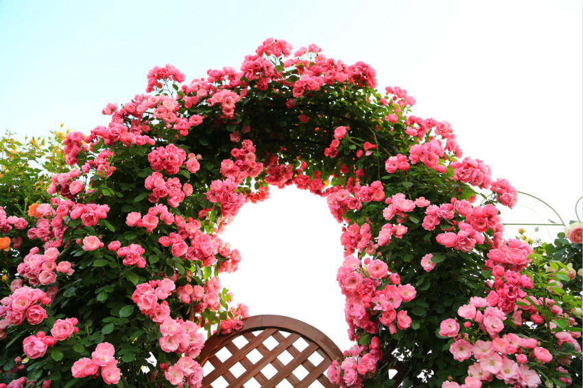 0009_meitu_2.jpg 0009_meitu_2.jpg