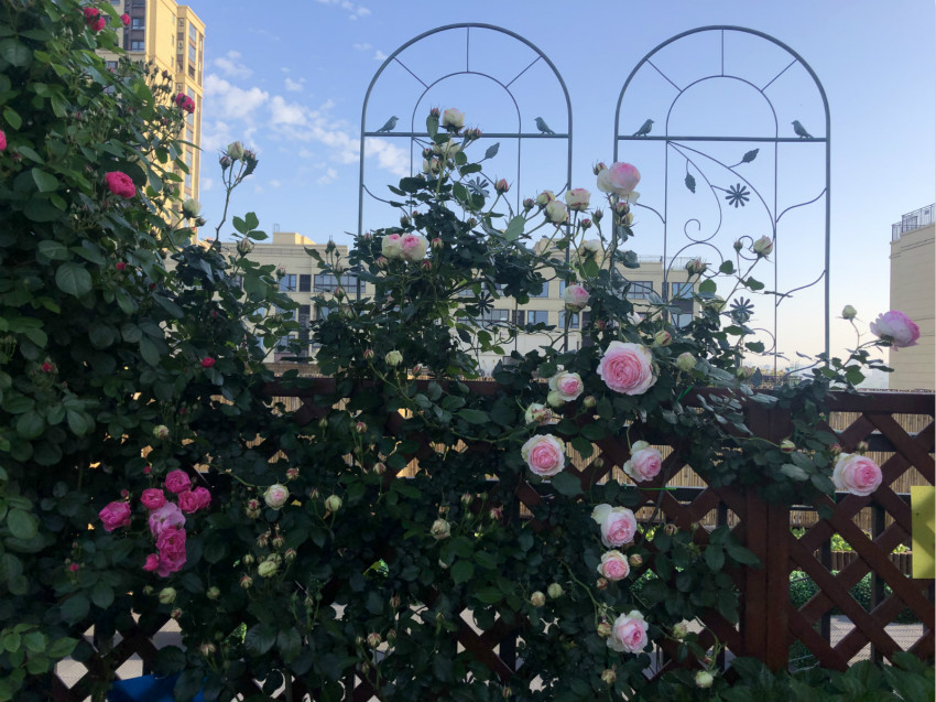 0002_meitu_3.jpg 0002_meitu_3.jpg