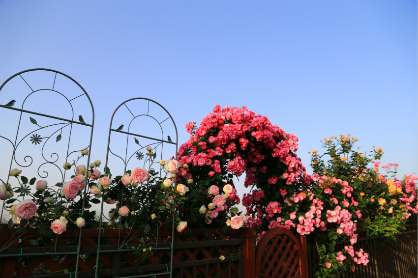 0007_meitu_4.jpg 0007_meitu_4.jpg