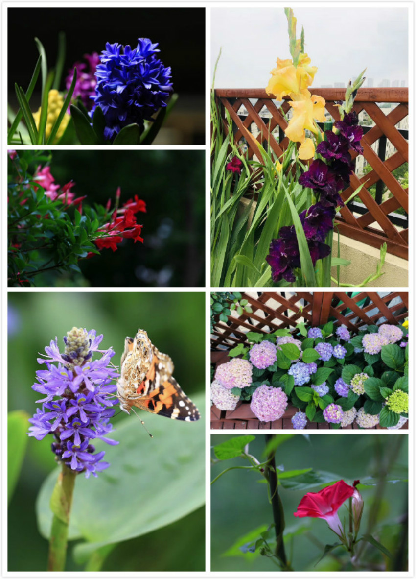 0011_meitu_2_meitu_4.jpg 0011_meitu_2_meitu_4.jpg