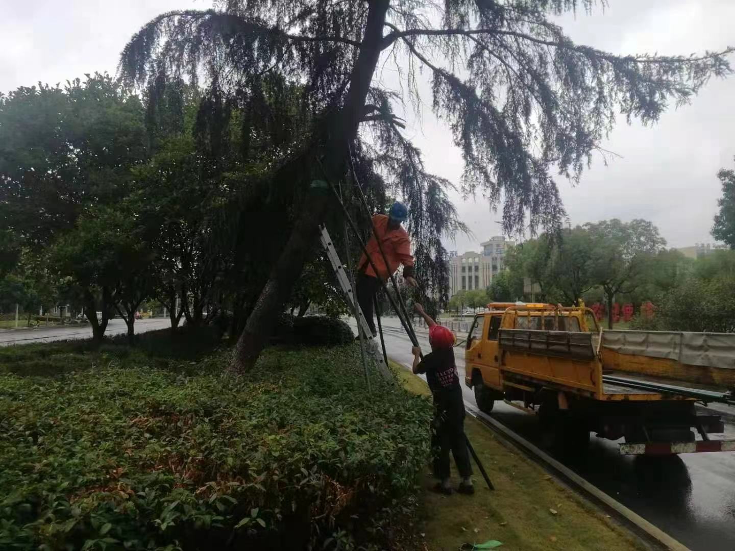 404c2f6c397741d93931a7e7e0efb24.jpg 404c2f6c397741d93931a7e7e0efb24.jpg