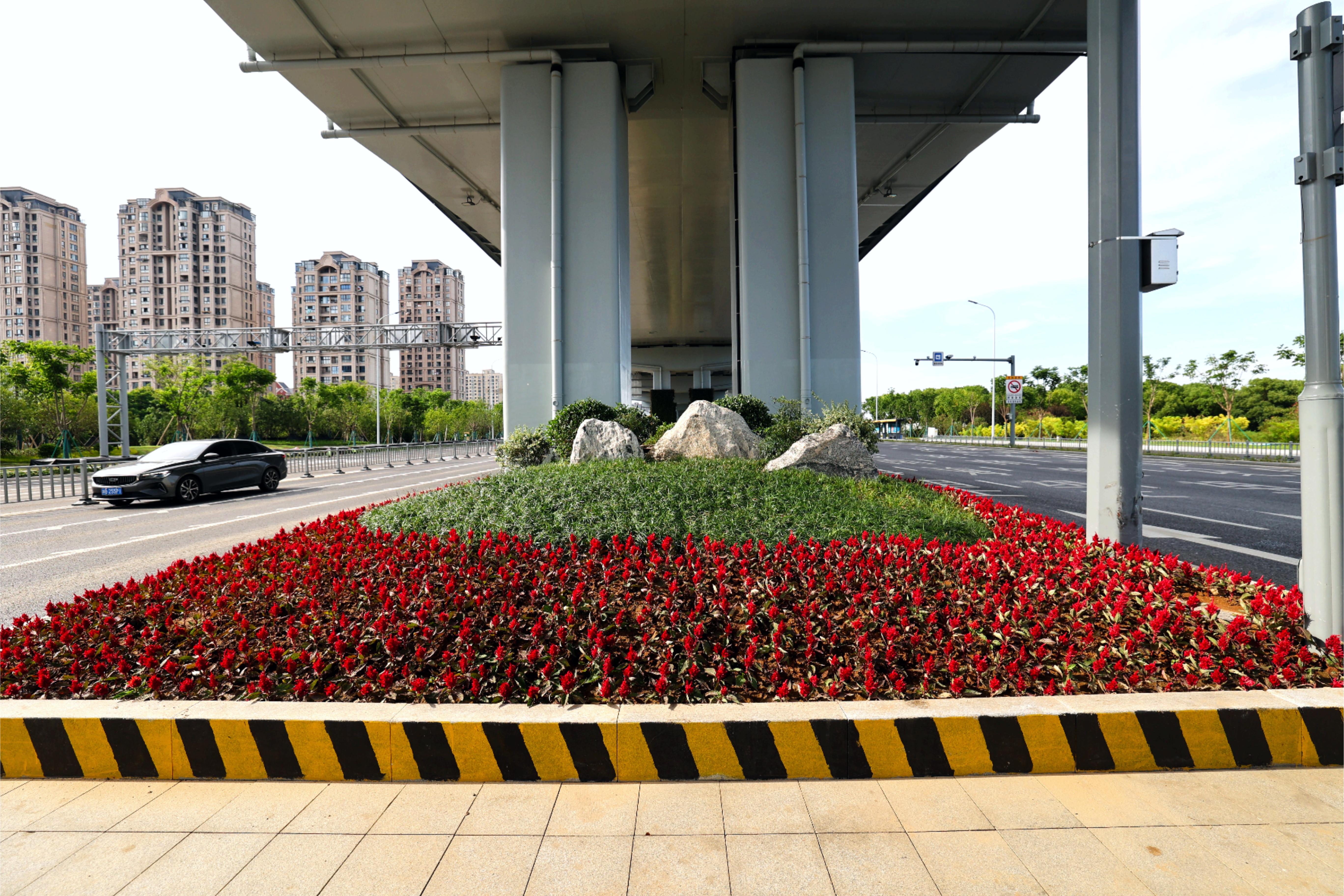 通過合理配置不同花色、葉色的植物，形成豐富的色彩層次和季相變化，提升道路景觀的觀賞性和趣味性.JPG